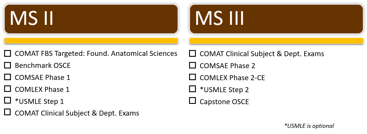 Exam Image