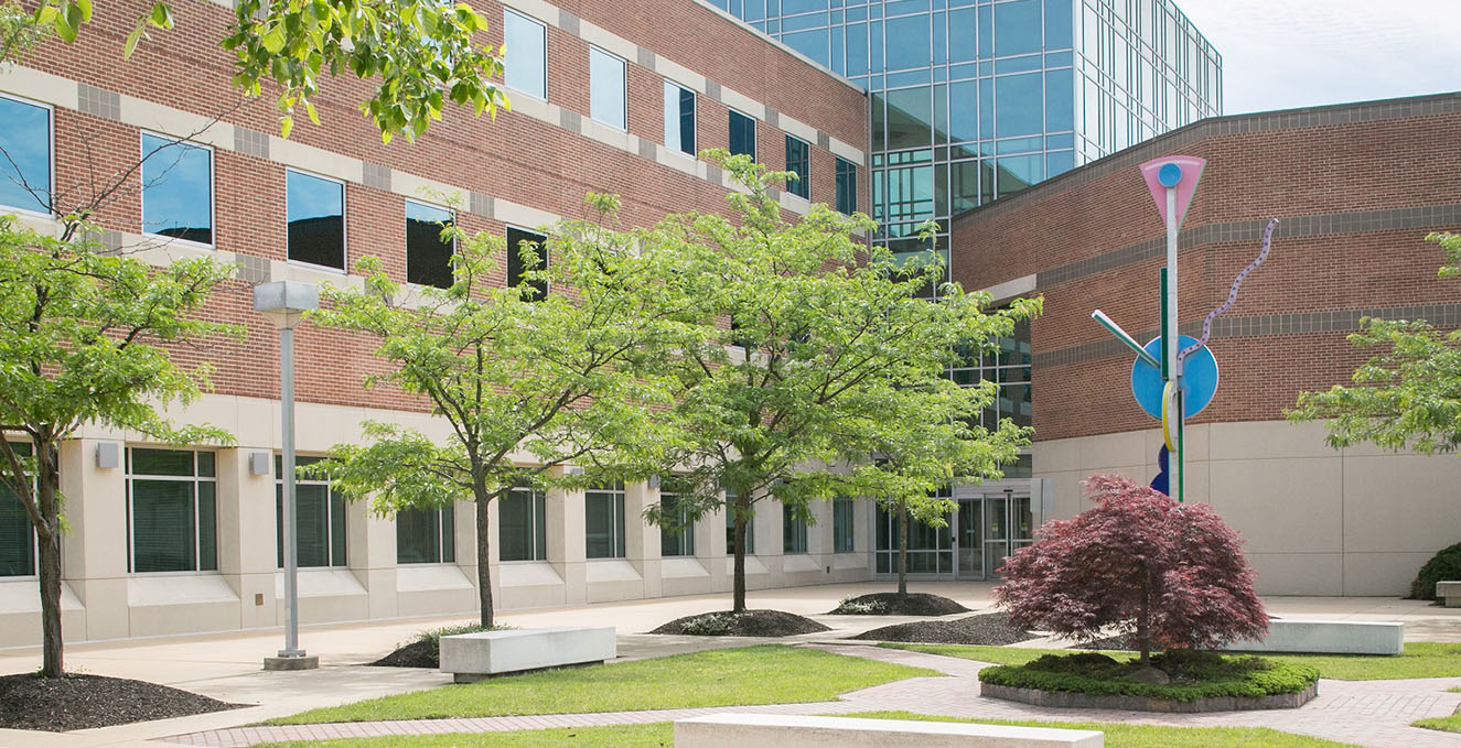 the greens and statue in front of the Academic Center